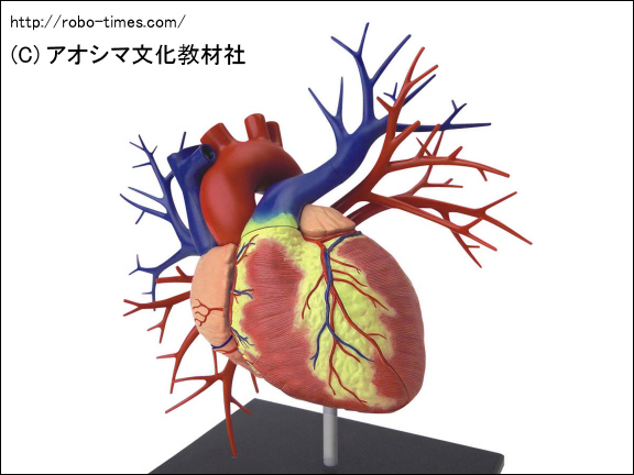 画像12